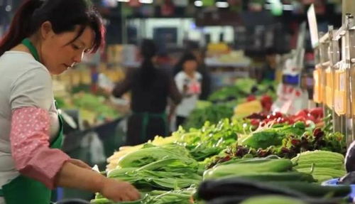 宝应 蔬菜专业村联手农产品物流园,菜农销售半径数倍增