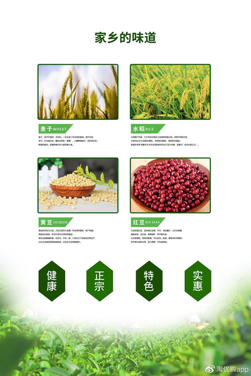 全国首家区域特色农产品电商商城 淘优商城正式上线运营啦