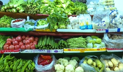 人勤春早气象新 节后市场迎来“开门红”