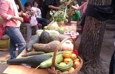 五大最热门最挣钱的农业投资项目 图