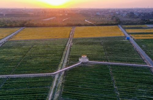 嘉兴这16家园区 基地 ,国家级