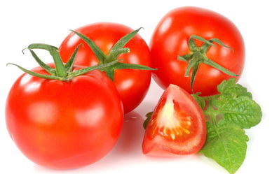 惠州淡水工厂蔬菜配送那一家比较好