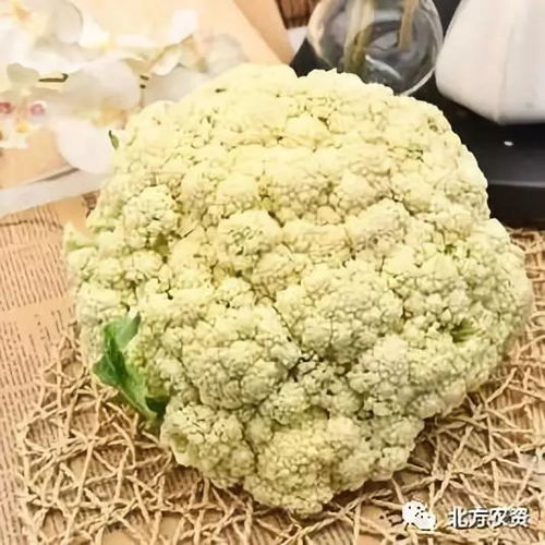 有机食品认证乱象 名不副实背后的市场隐患