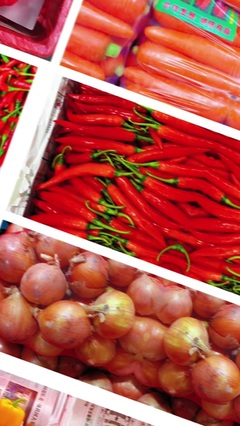 漳浦文贵蔬菜批发的经营策略与市场优势