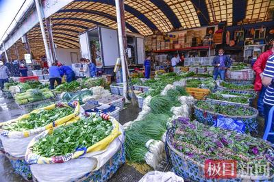 运输目录外蔬菜来汉免收通行费,《鲜活农产品品种目录》适用范围